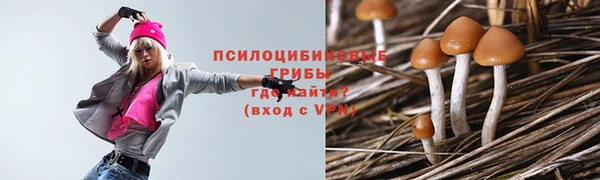 таблы Лиски