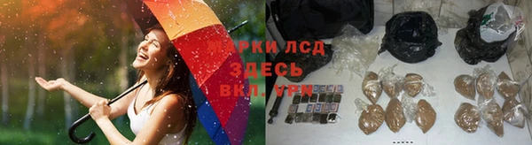 мяу мяу мука Лихославль