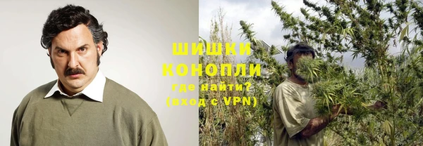 гидра Липки
