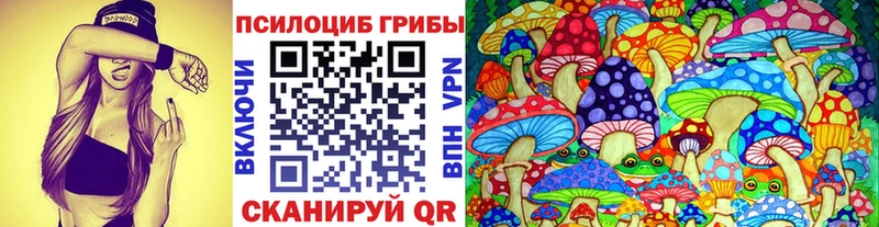 Псилоцибиновые грибы Cubensis  Мыски 