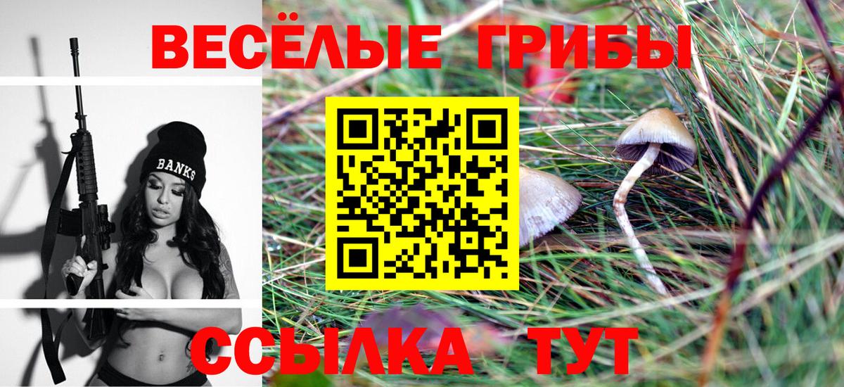 Псилоцибиновые грибы Psilocybine cubensis Мыски