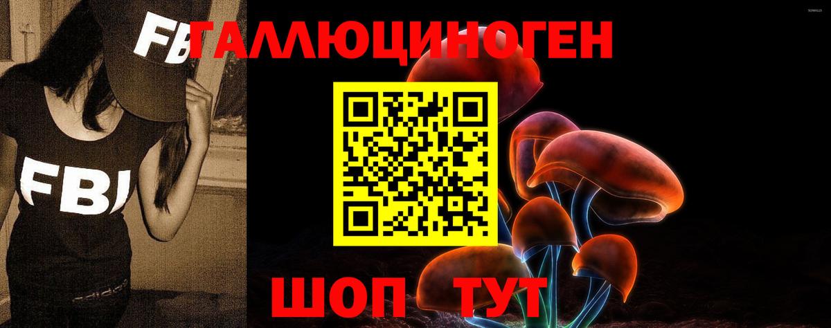 Галлюциногенные грибы GOLDEN TEACHER  Вход с VPN  Мыски 