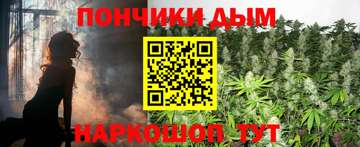 Марихуана план Мыски